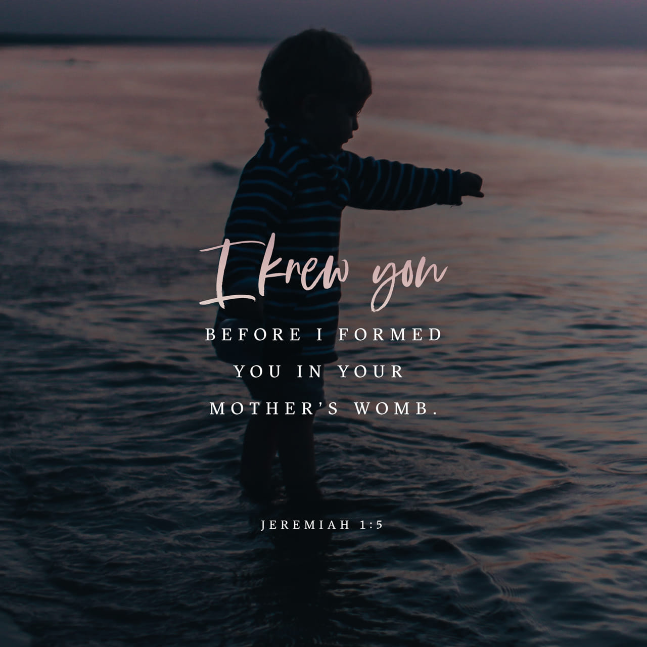 Quotes for New Moms: Celebrating the Beginning of a Beautiful Journey